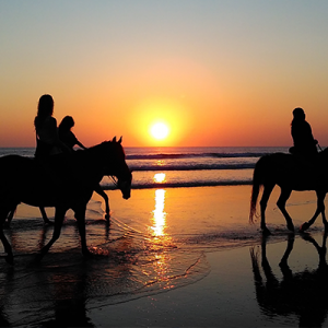 Horseriding on the Beach