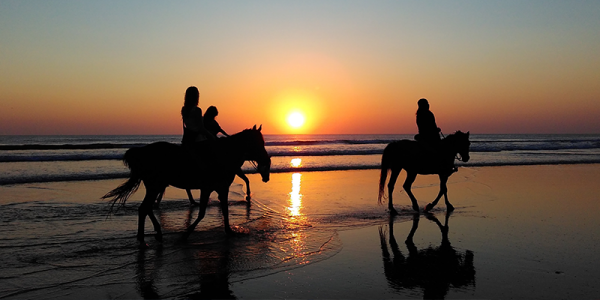 Horseriding on the Beach